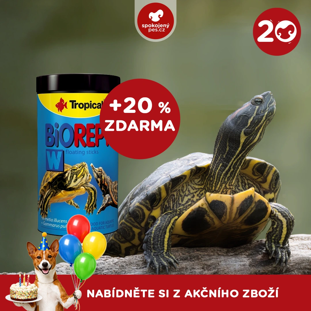 akční březen_29_CZ.webp